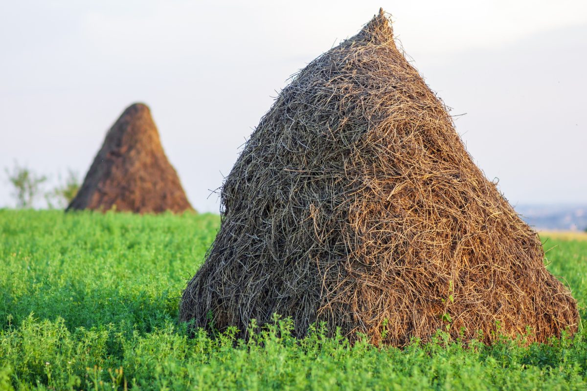 Picking stocks is like looking for a needle in a haystack
